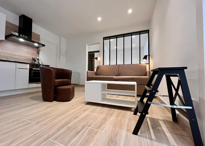 Appartement Lumineux 2 Pieces, Coeur De Saint-Jean-De-Luz, Proche Plage Et Commerces, Avec Wifi - Fr-1-239-1002