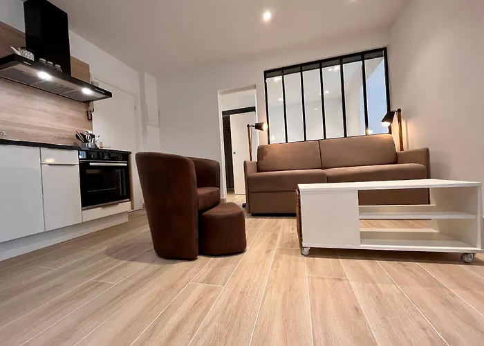 Appartement Lumineux 2 Pieces, Coeur De Saint-Jean-De-Luz, Proche Plage Et Commerces, Avec Wifi - Fr-1-239-1002